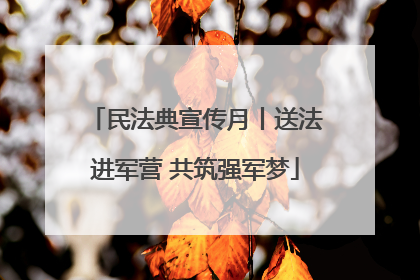 民法典宣传月丨送法进军营 共筑强军梦