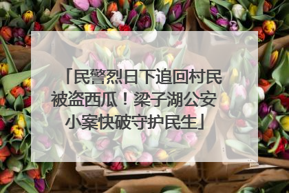 民警烈日下追回村民被盗西瓜！梁子湖公安小案快破守护民生