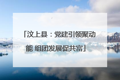 汶上县：党建引领聚动能 组团发展促共富