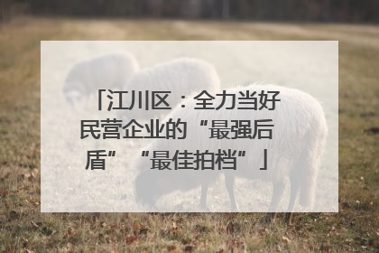 江川区：全力当好民营企业的“最强后盾”“最佳拍档”