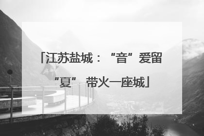 江苏盐城：“音”爱留“夏” 带火一座城