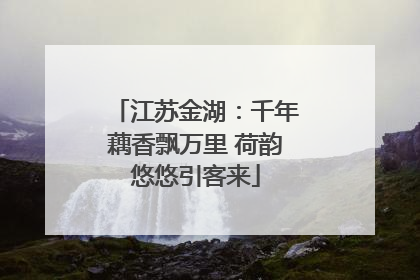江苏金湖：千年藕香飘万里 荷韵悠悠引客来
