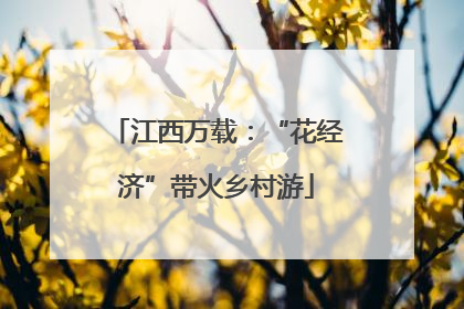 江西万载：“花经济”带火乡村游