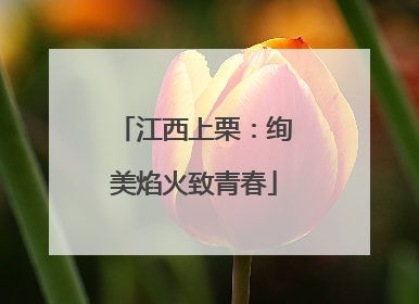 江西上栗：绚美焰火致青春