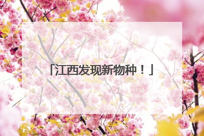 江西发现新物种！