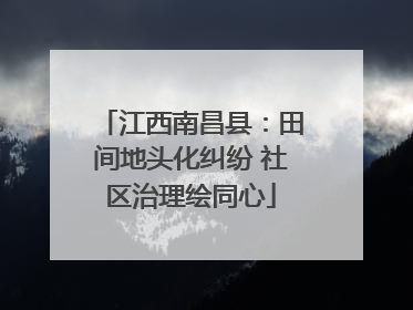 江西南昌县：田间地头化纠纷 社区治理绘同心