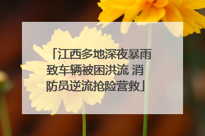 江西多地深夜暴雨致车辆被困洪流 消防员逆流抢险营救