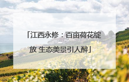 江西永修：百亩荷花绽放 生态美景引人醉