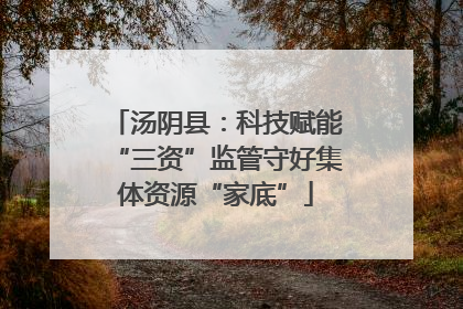 汤阴县：科技赋能“三资”监管守好集体资源“家底”