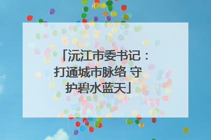 沅江市委书记：打通城市脉络 守护碧水蓝天