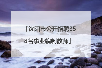 沈阳市公开招聘358名事业编制教师