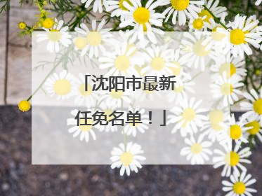 沈阳市最新任免名单！