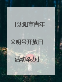 沈阳市青年文明号开放日活动举办