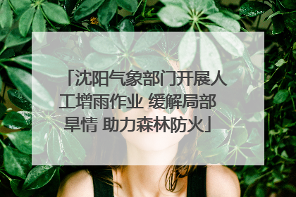 沈阳气象部门开展人工增雨作业 缓解局部旱情 助力森林防火