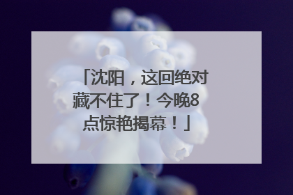 沈阳，这回绝对藏不住了！今晚8点惊艳揭幕！