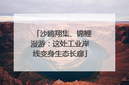 沙鸥翔集、锦鲤漫游：这处工业岸线变身生态长廊