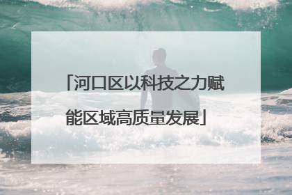河口区以科技之力赋能区域高质量发展