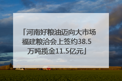 河南好粮油迈向大市场 福建粮洽会上签约38.5万吨揽金11.5亿元
