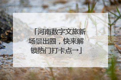 河南数字文旅新场景出圈，快来解锁热门打卡点→