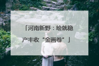 河南新野：绘就稳产丰收“金画卷”