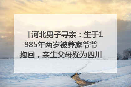 河北男子寻亲：生于1985年两岁被养家爷爷抱回，亲生父母疑为四川仪陇人｜红星寻人