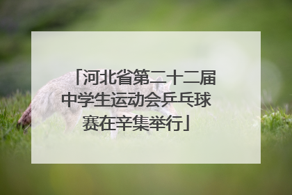 河北省第二十二届中学生运动会乒乓球赛在辛集举行