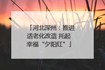 河北深州：推进适老化改造 托起幸福“夕阳红”