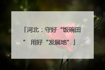 河北：守好“饭碗田” 用好“发展地”