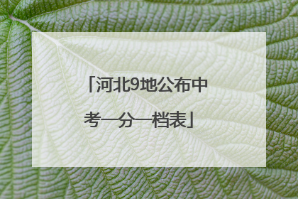 河北9地公布中考一分一档表