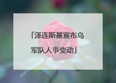 泽连斯基宣布乌军队人事变动