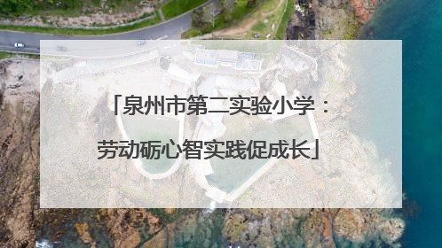泉州市第二实验小学：劳动砺心智实践促成长