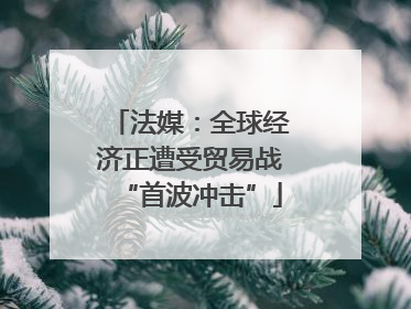 法媒：全球经济正遭受贸易战“首波冲击”