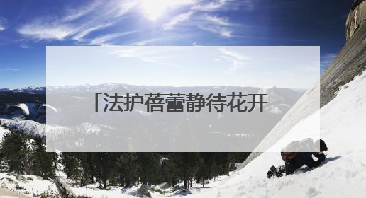 法护蓓蕾静待花开 司法育苗情暖童心