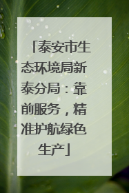 泰安市生态环境局新泰分局：靠前服务，精准护航绿色生产