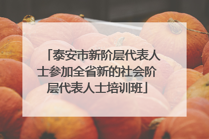 泰安市新阶层代表人士参加全省新的社会阶层代表人士培训班