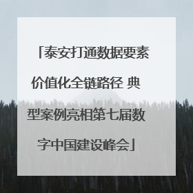 泰安打通数据要素价值化全链路径 典型案例亮相第七届数字中国建设峰会