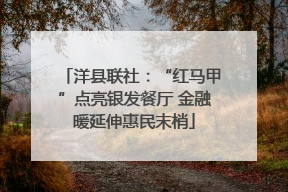 洋县联社：“红马甲”点亮银发餐厅 金融暖延伸惠民末梢