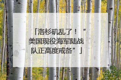 洛杉矶乱了！“美国现役海军陆战队正高度戒备”