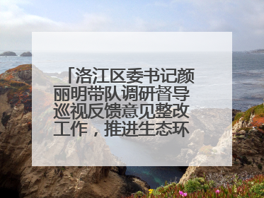 洛江区委书记颜丽明带队调研督导巡视反馈意见整改工作，推进生态环境保护建设