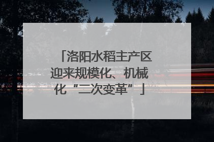 洛阳水稻主产区迎来规模化、机械化“二次变革”