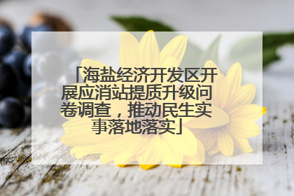 海盐经济开发区开展应消站提质升级问卷调查，推动民生实事落地落实