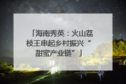 海南秀英：火山荔枝王串起乡村振兴“甜蜜产业链”