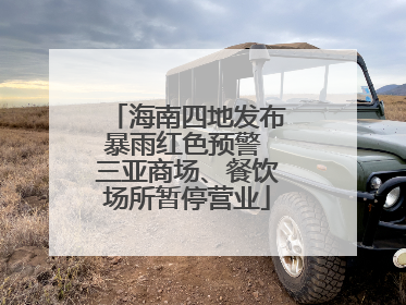 海南四地发布暴雨红色预警 三亚商场、餐饮场所暂停营业