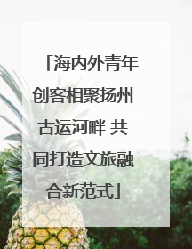 海内外青年创客相聚扬州古运河畔 共同打造文旅融合新范式