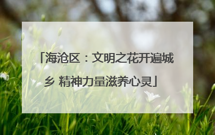 海沧区：文明之花开遍城乡 精神力量滋养心灵