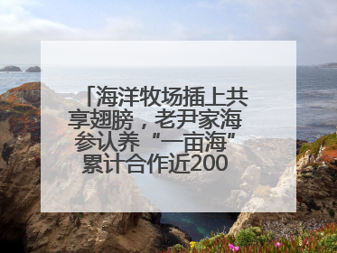 海洋牧场插上共享翅膀，老尹家海参认养“一亩海”累计合作近200企业客户