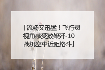 流畅又迅猛！飞行员视角感受数架歼-10战机空中近距格斗