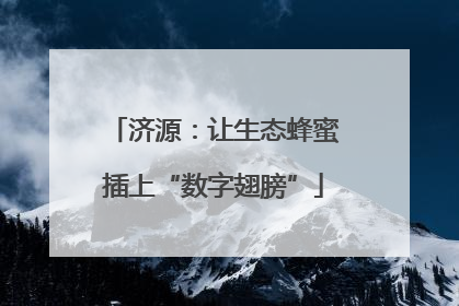 济源：让生态蜂蜜插上“数字翅膀”