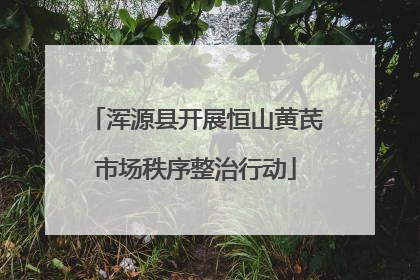 浑源县开展恒山黄芪市场秩序整治行动