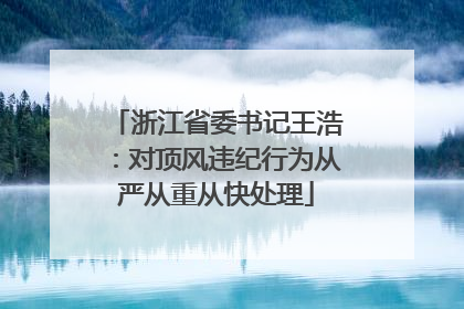 浙江省委书记王浩：对顶风违纪行为从严从重从快处理